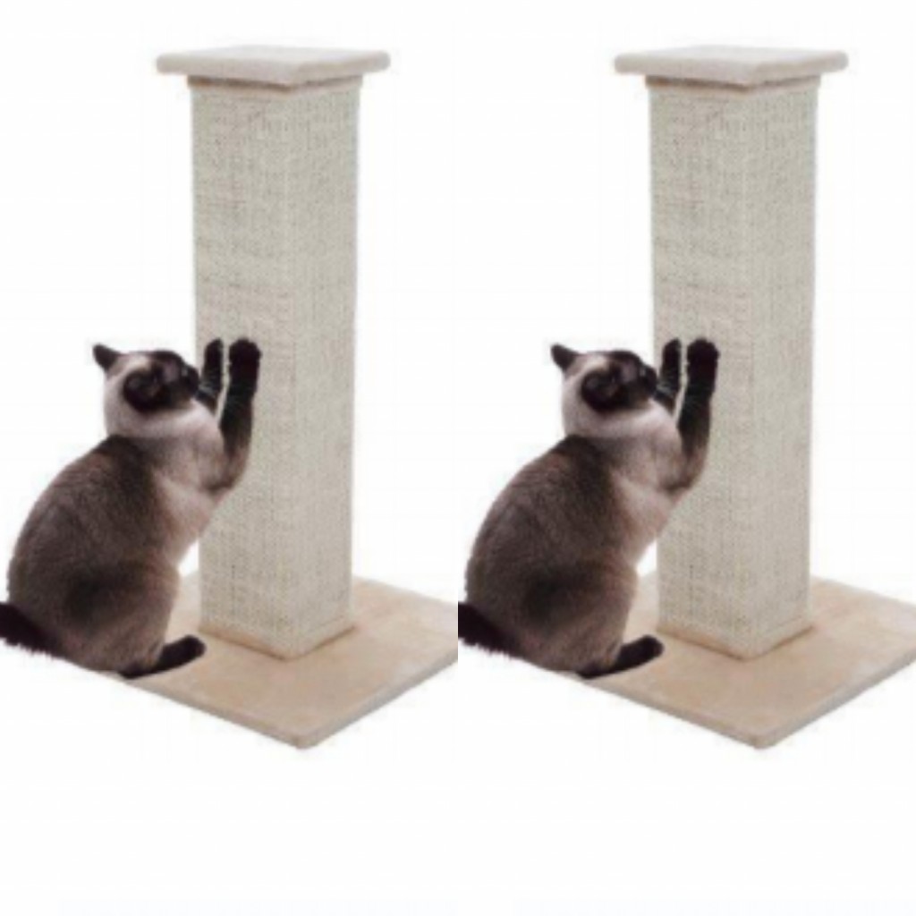 Rascador para gato ref rascador cuadrado × 50cm