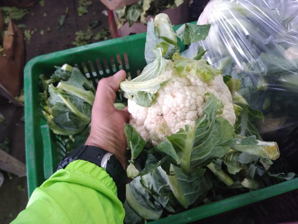 Coliflor