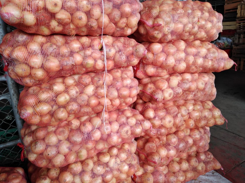 Cebolla huevo