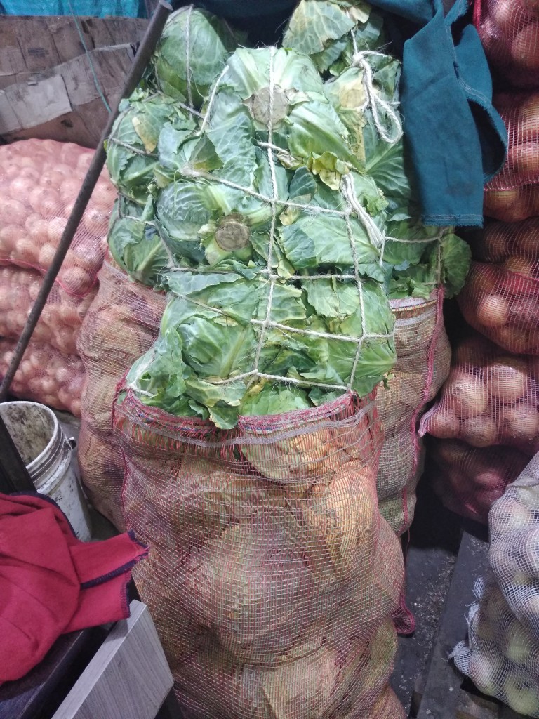 Repollo criollo pastuso