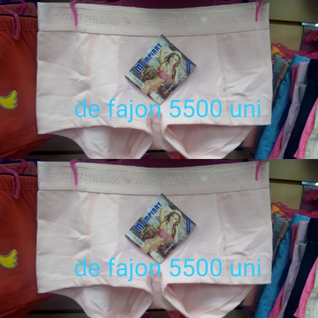 Boxer dama de fajon