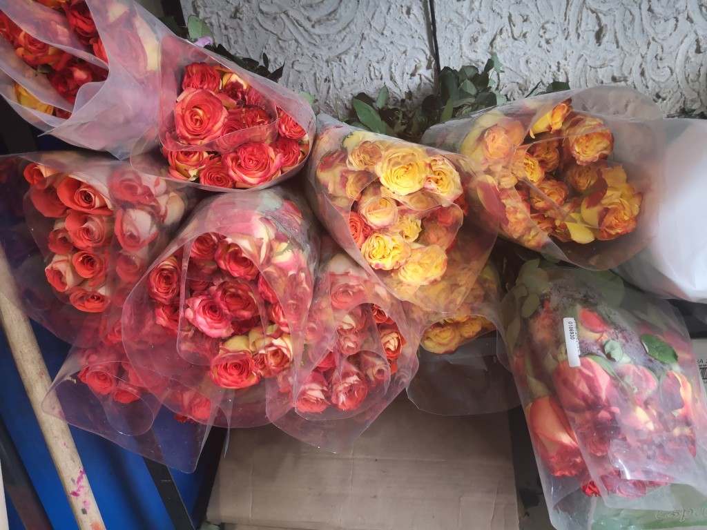 Paquete de Rosas *24 unidades
