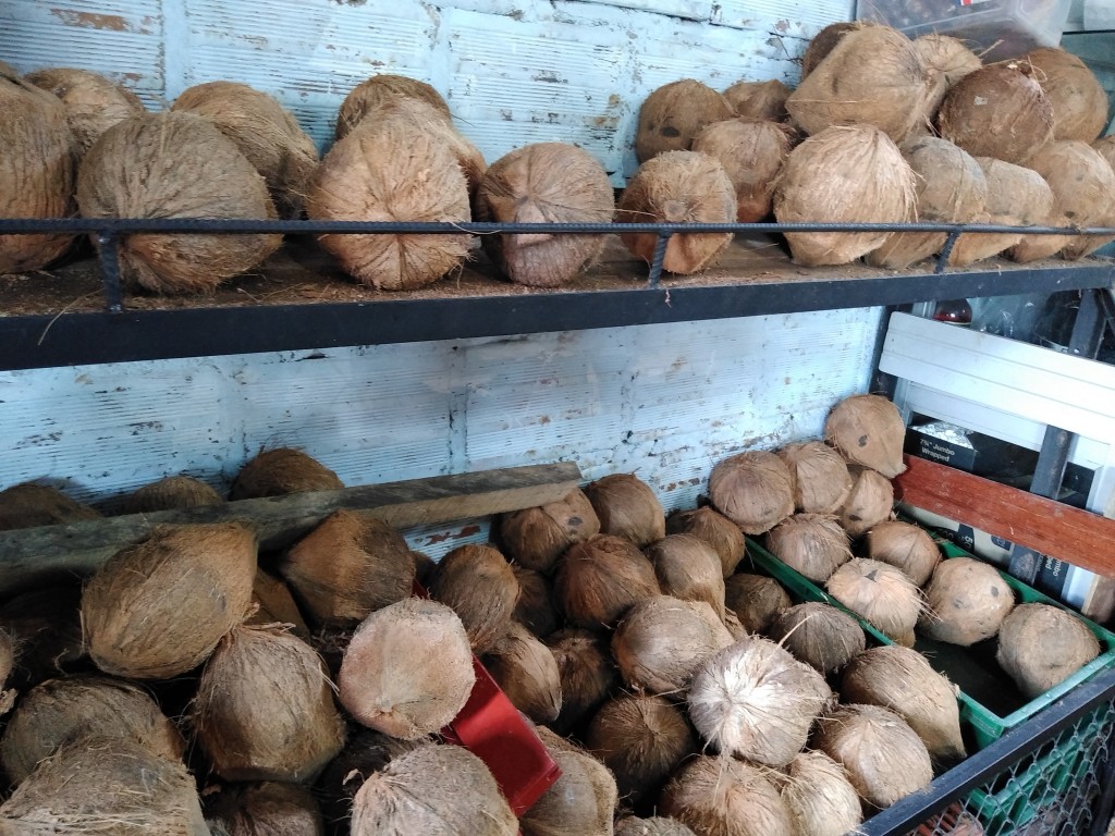 Coco típico