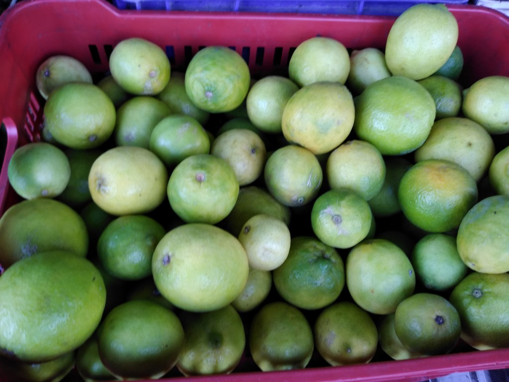 Limón Tahití maduro