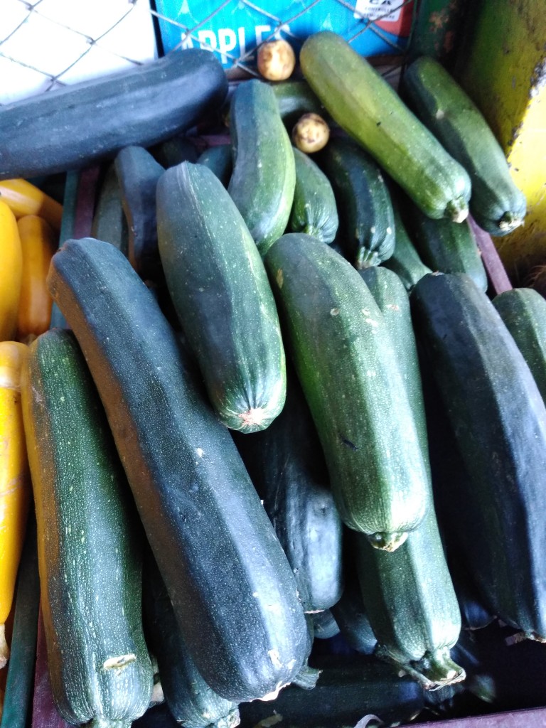 Zuccini