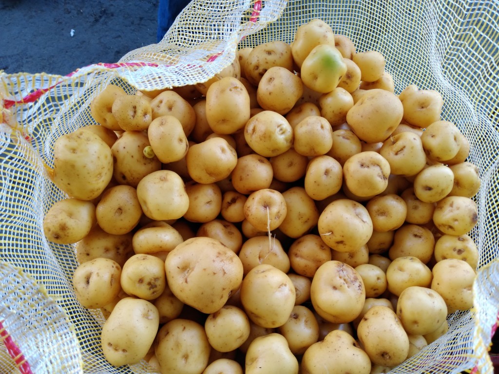 Papa criolla/Barragán