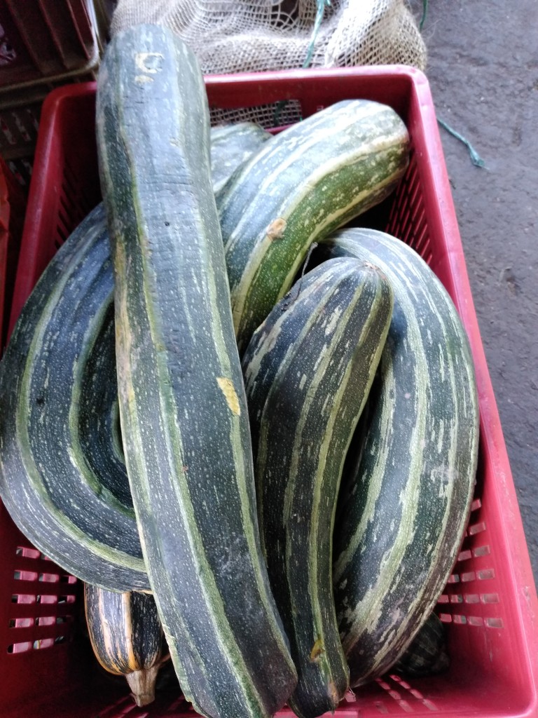 Calabacín