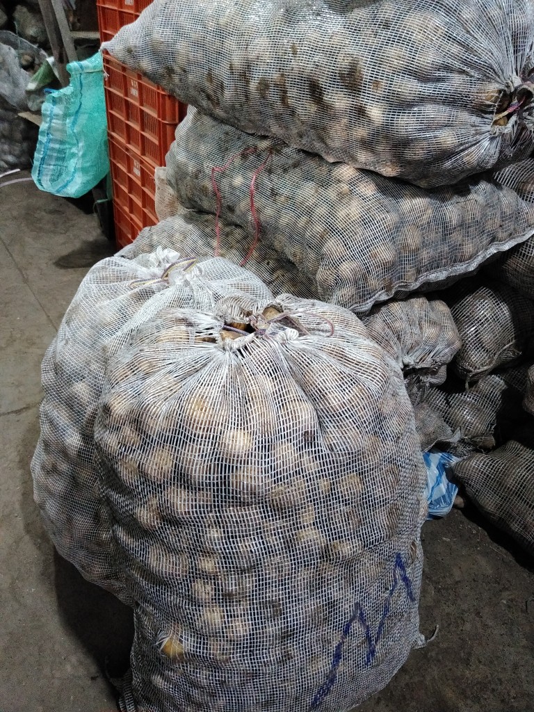 Papa pastusa superior — foto 14 de 15