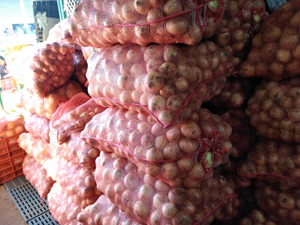 Cebolla de huevo