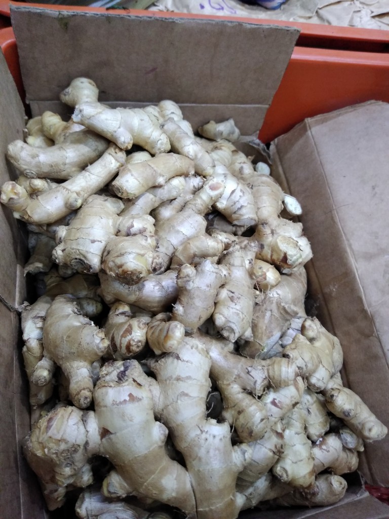 Papa pastusa superior — foto 7 de 15