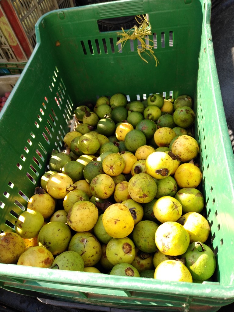 Guayaba agria