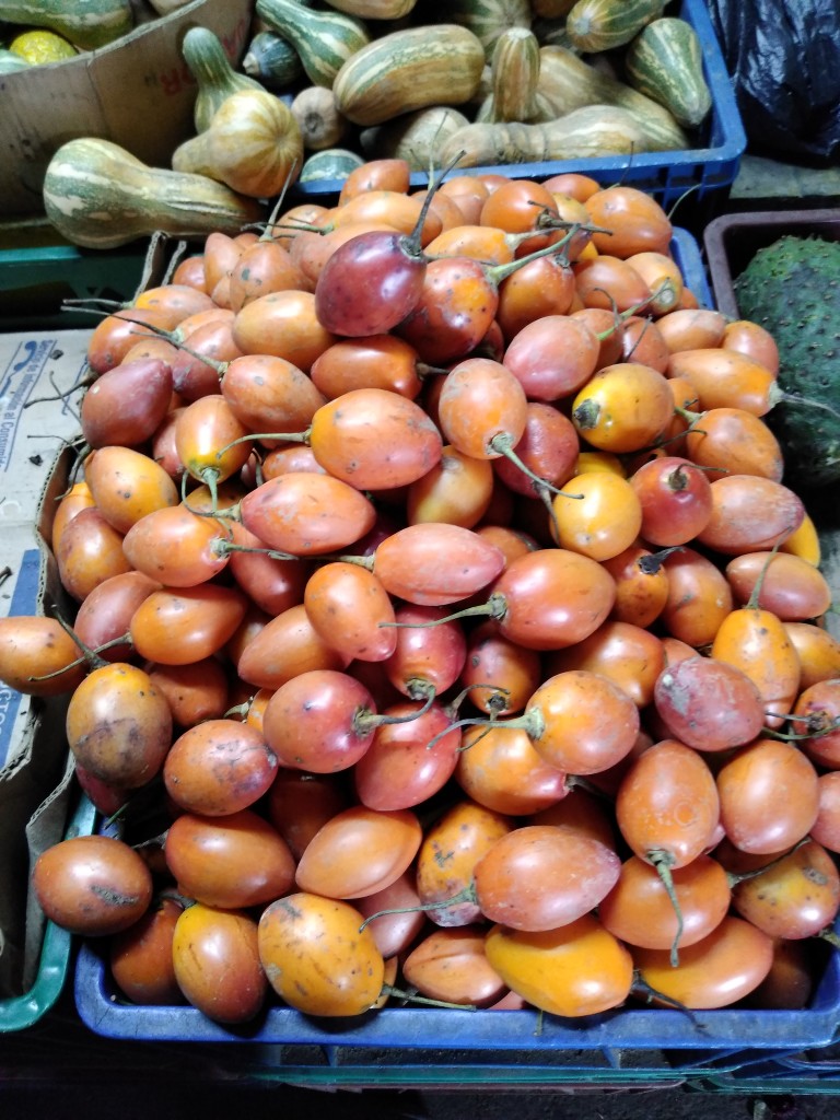 Tomate de árbol