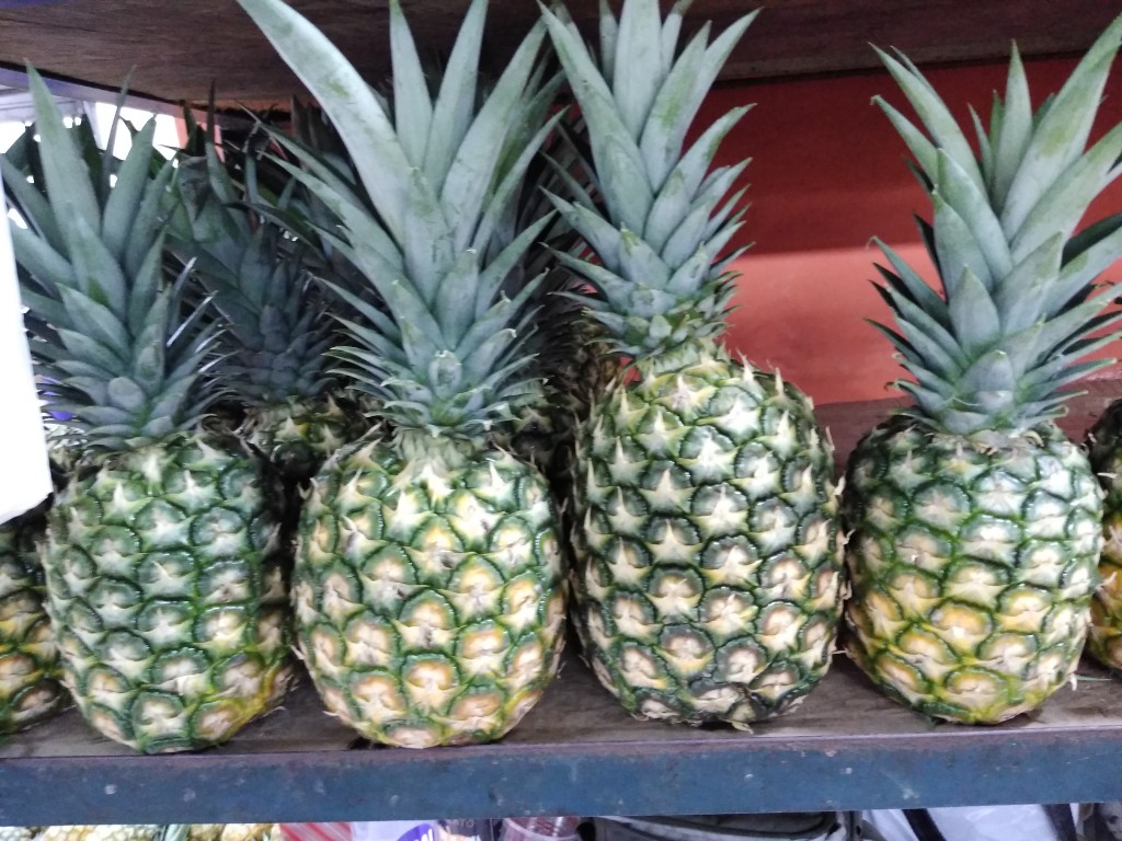 Piña oro miel 1ra