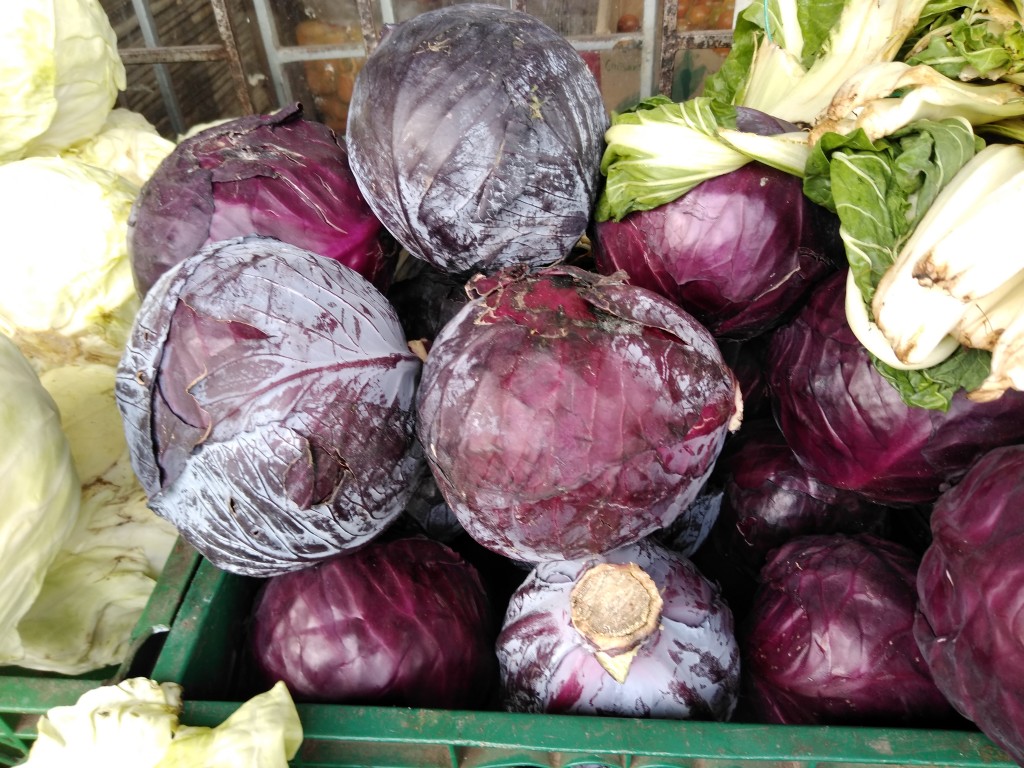 Repollo morado.