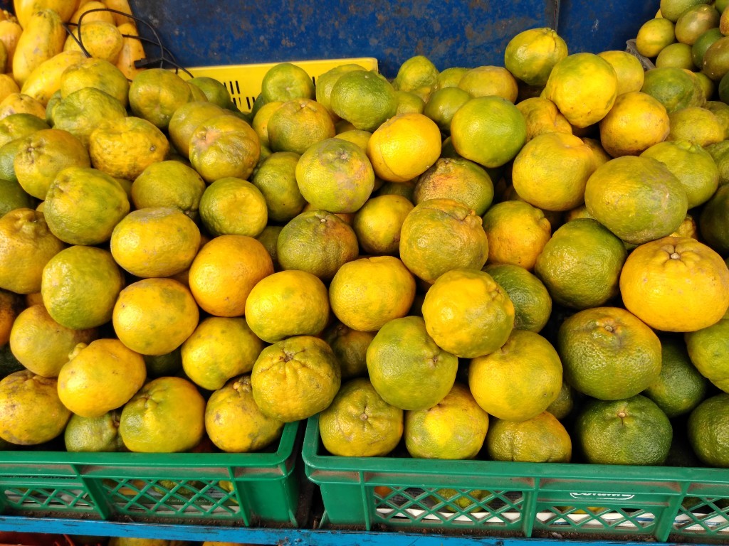 Mandarina Oneco
