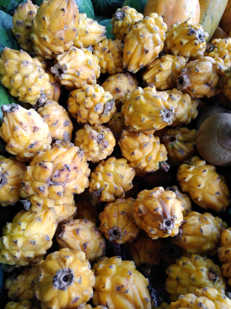 Pitahaya