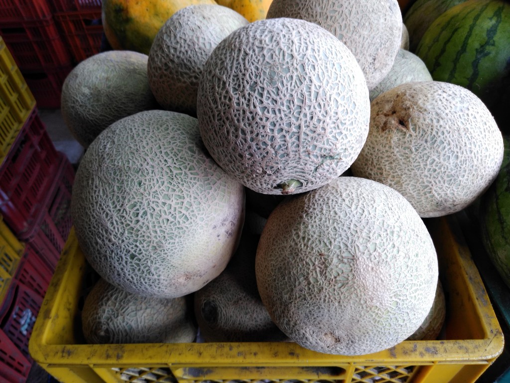 Melón