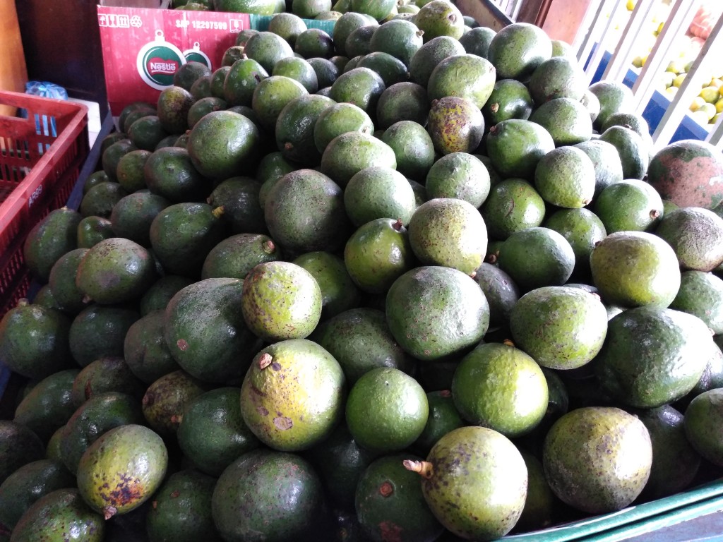Aguacate Trinidad