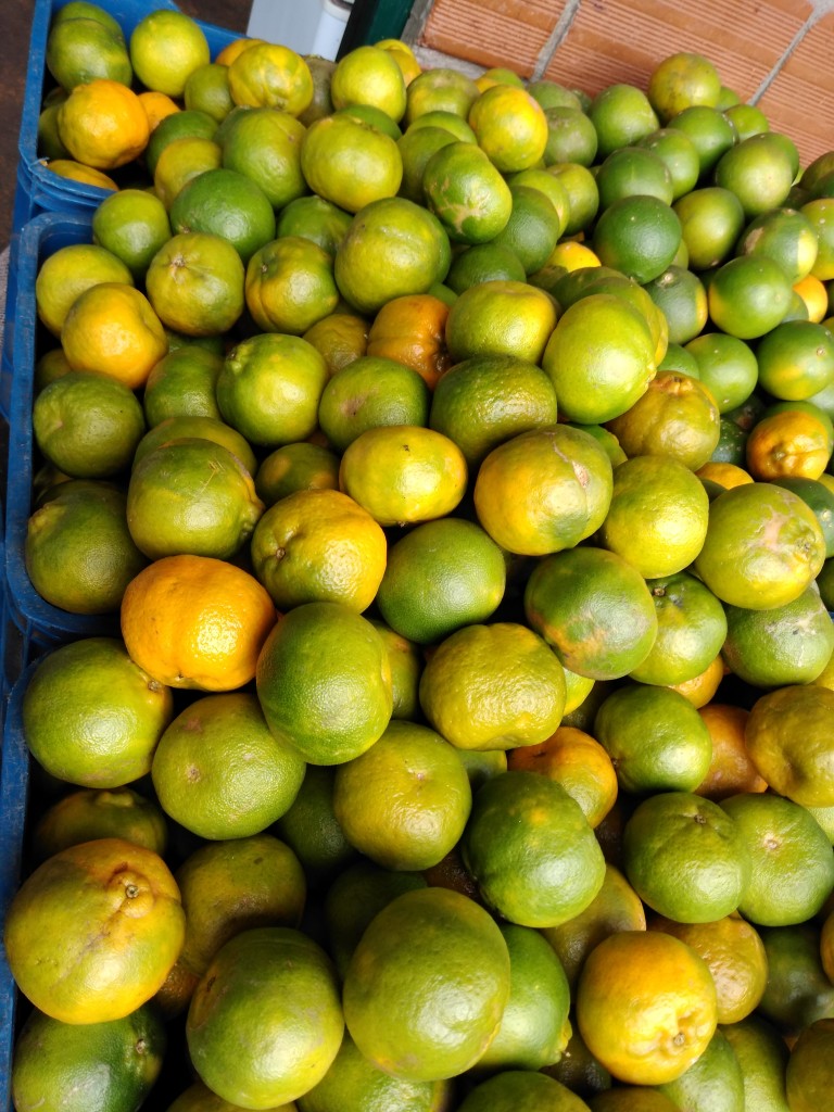 Mandarina oneco pareja