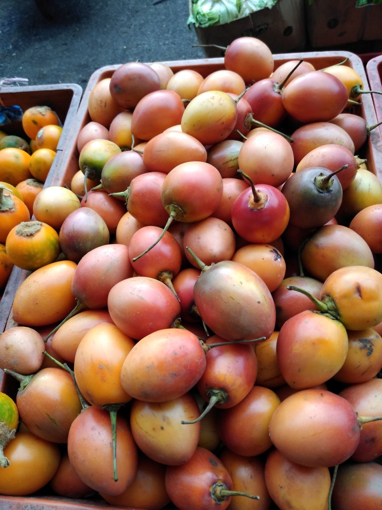 Tomate de árbol