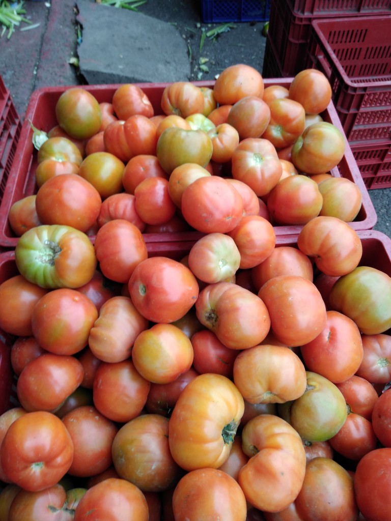 Tomate riñón maduro