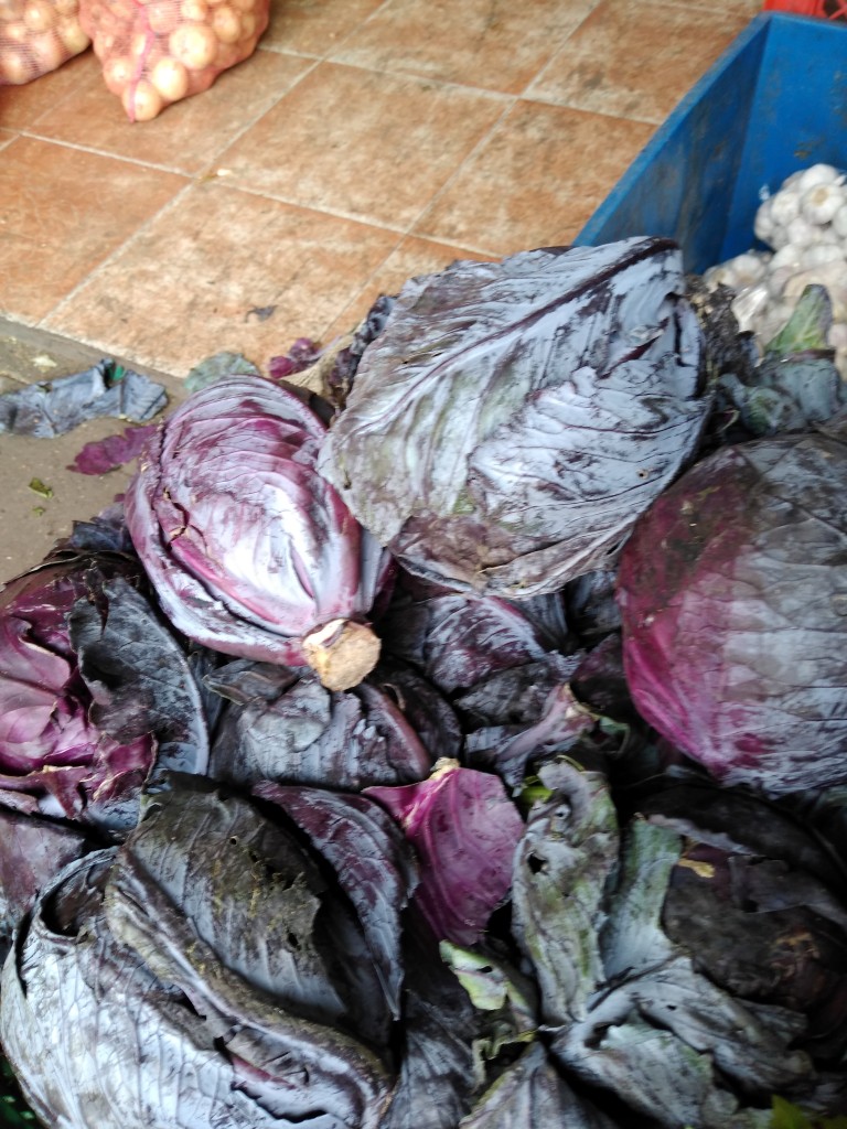 Repollo morado