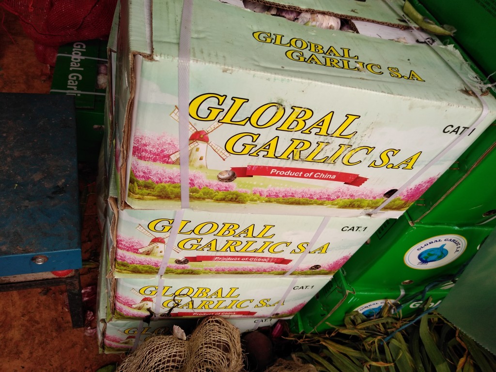 Ajo importado