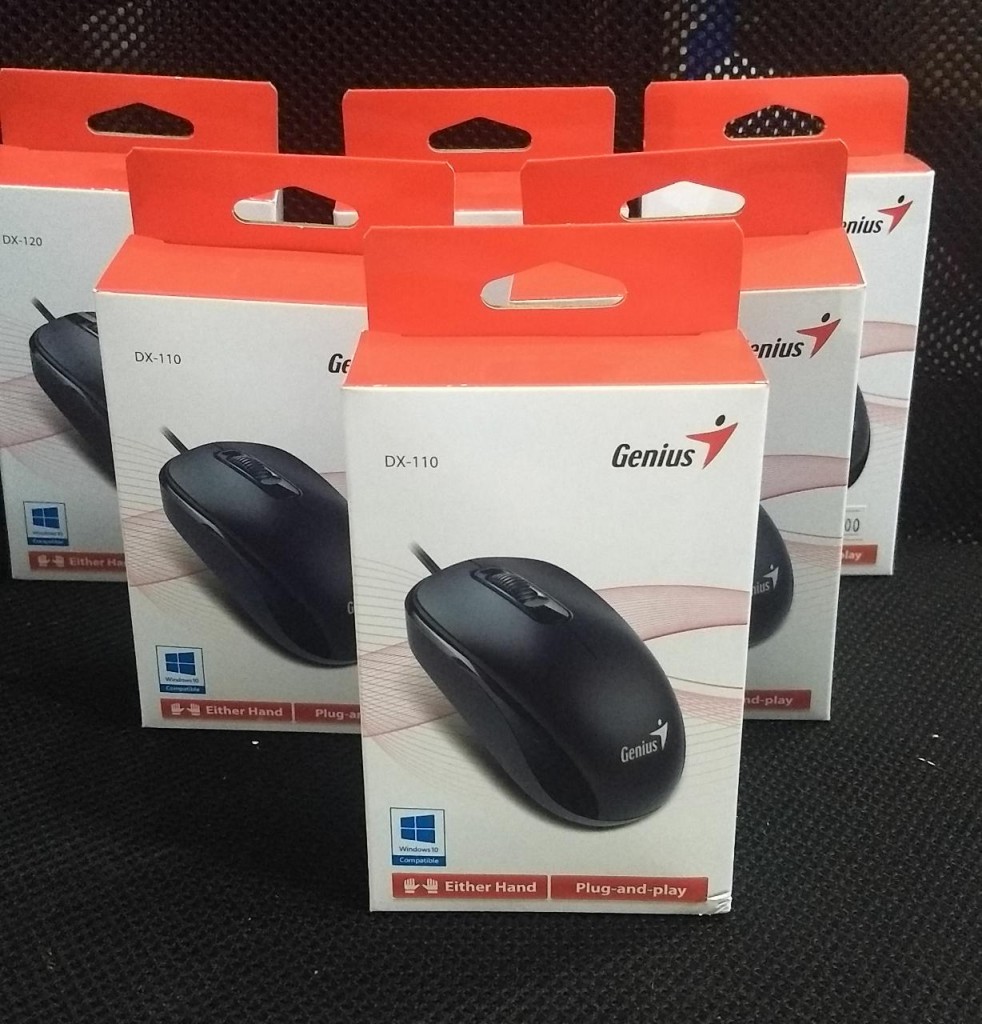 MOUSE GENIUS USB DX-110