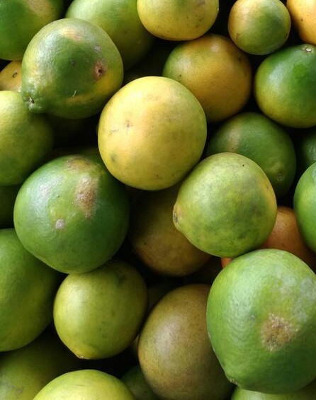 Limón mandarin