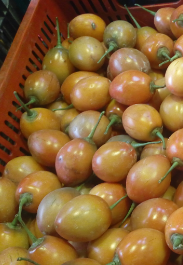 Tomate de arbol