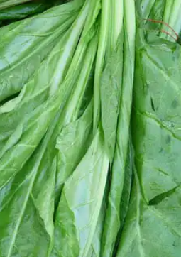 Espinacas