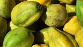 Papayuela