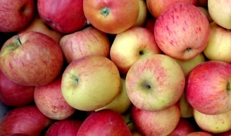 Manzana royal gala