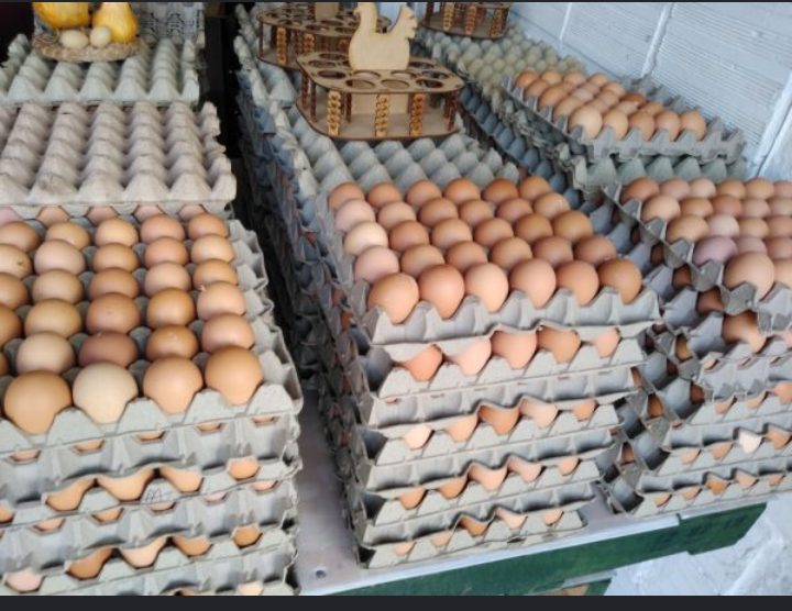 Huevos AAA