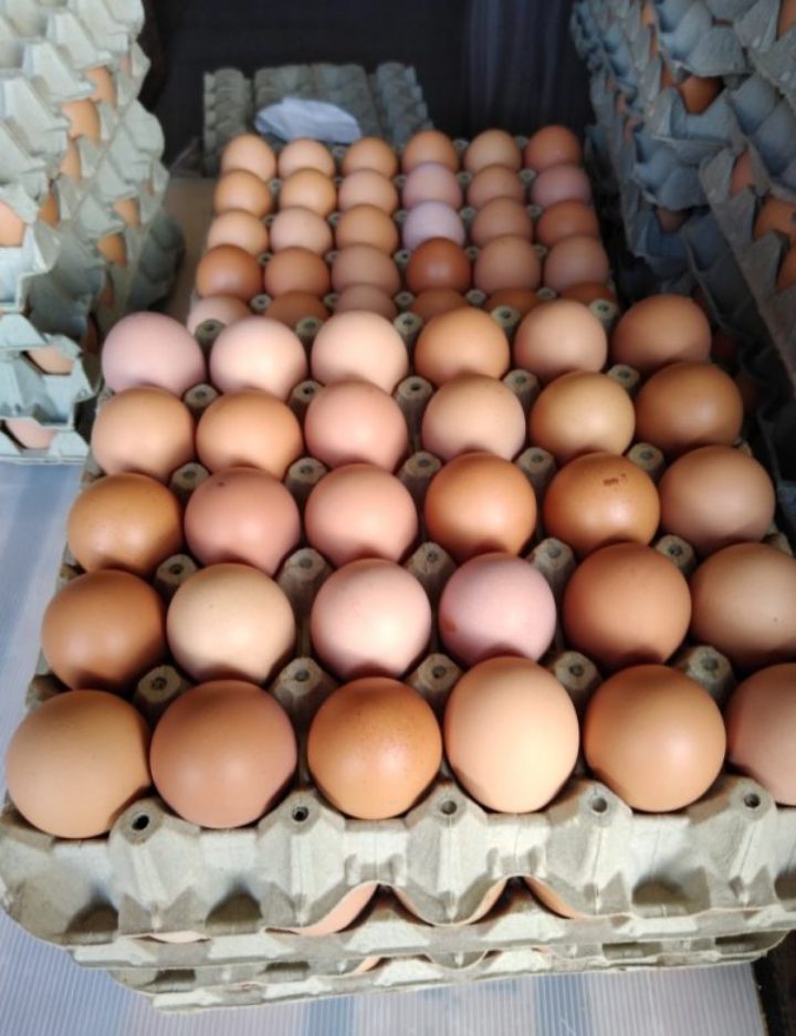 Huevos tipo AA