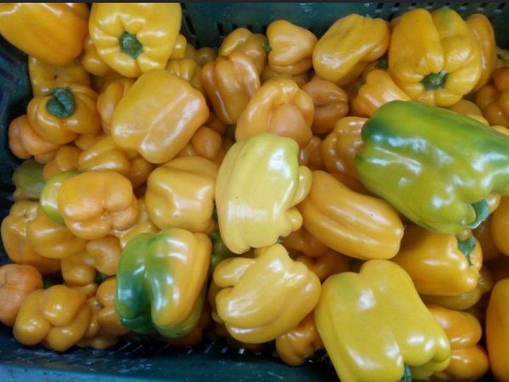 Pimentón amarillo