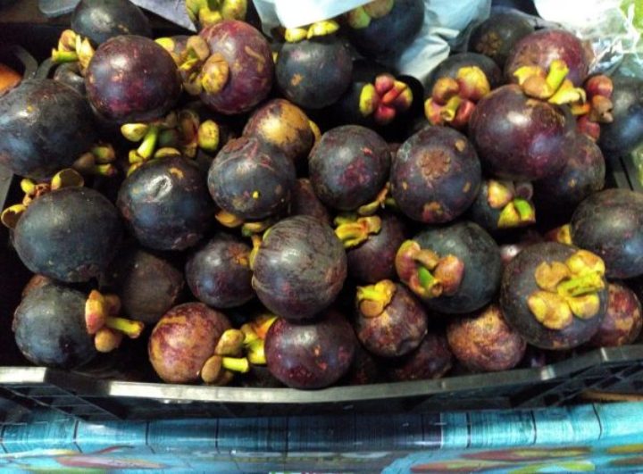 Mangostino