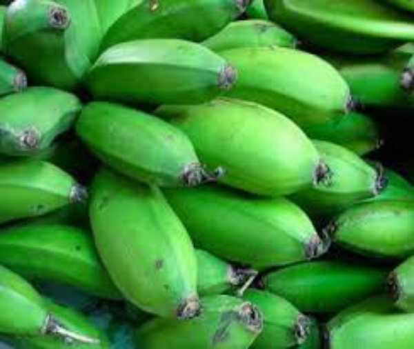 Plátano colicero