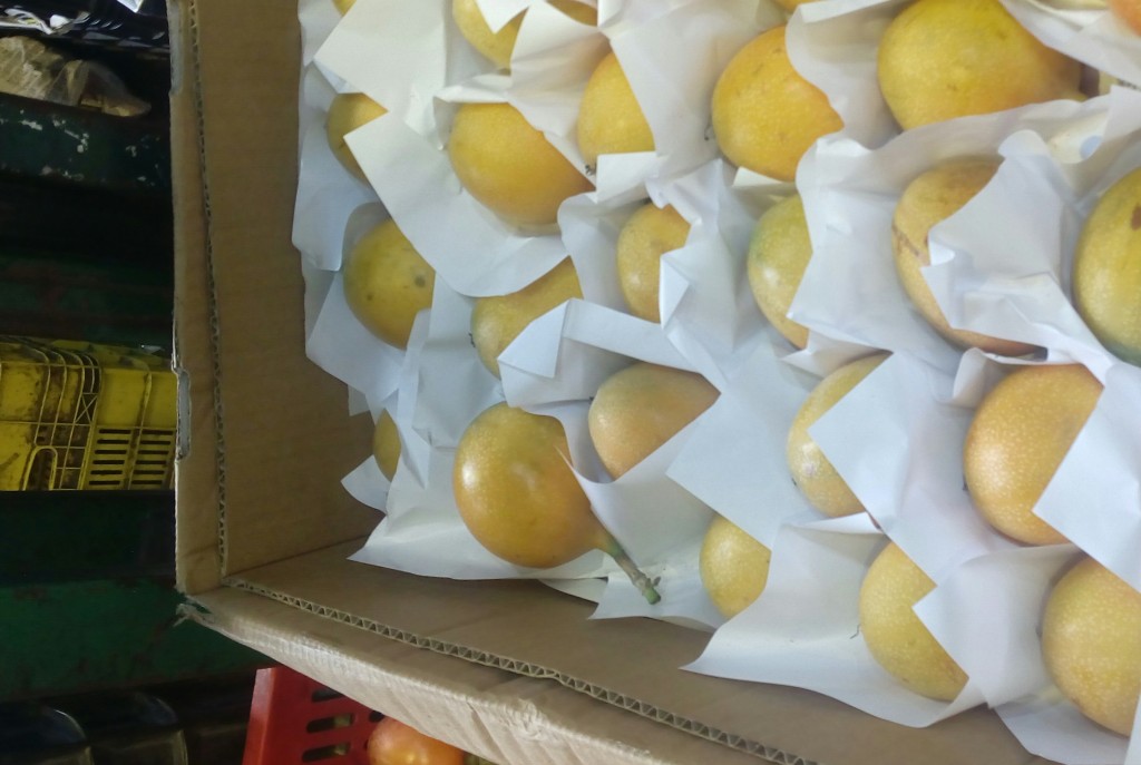 Granadilla