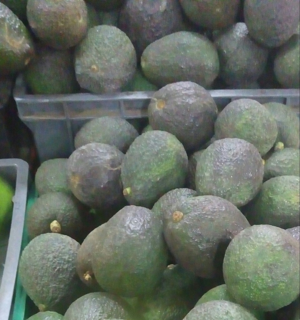 Aguacate Hass