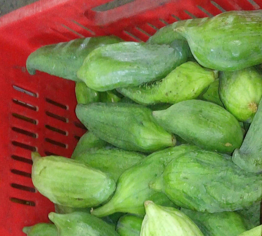 Pepino para guiso