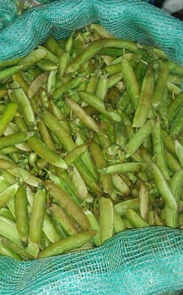 Arveja en cascara