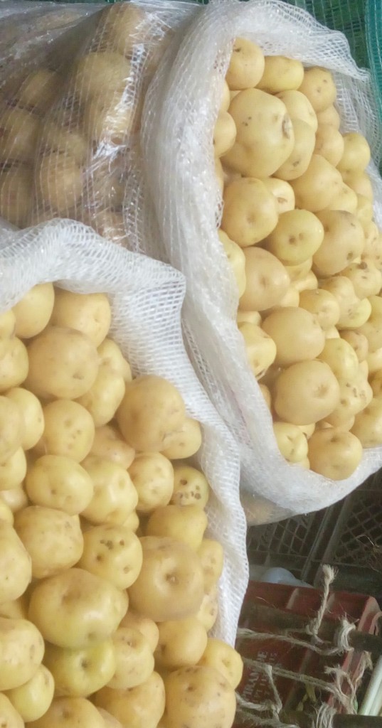 Papá criolla de primera