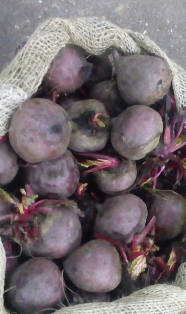 Remolacha