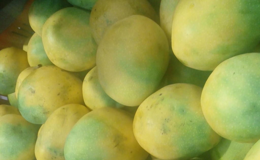 Mango de azúcar
