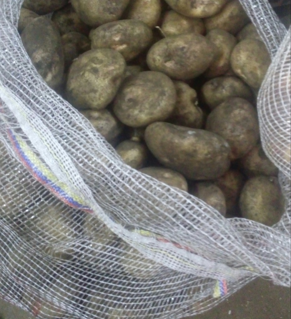 Papa pastusa pareja