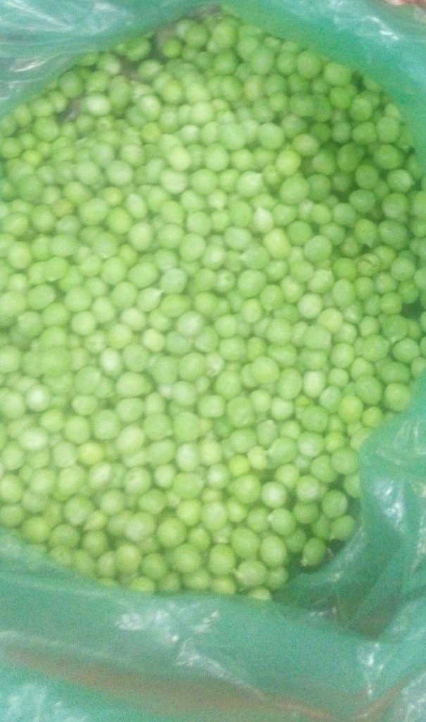 Arveja