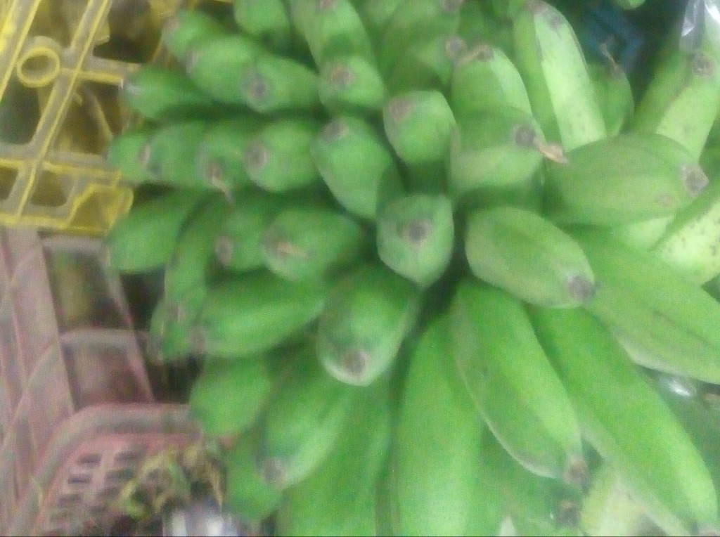 Colicero
