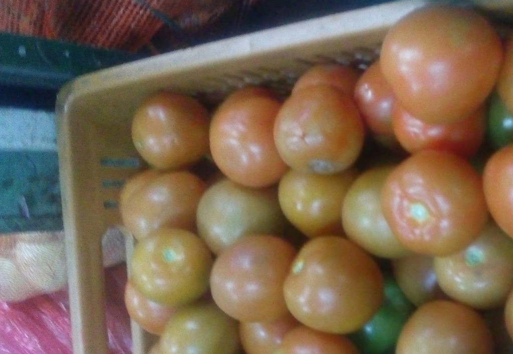 Tomate chongo de tercera
