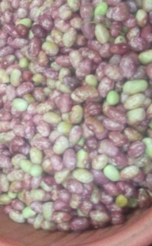 Fríjol